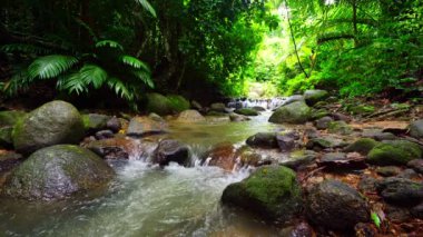 Waterfall in Abundant Clear Stream in the forest Small waterfall river with crystal clear water morning light nature background