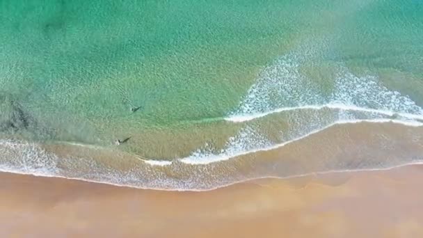 夏日阳光明媚的大海美丽的热带海滨风景淡淡的海风海浪在沙滩上冲撞惊人的旅行和旅游背景复制的空间 — 图库视频影像