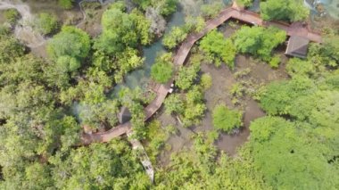 Mangrove Ormanı ve nehir manzarası Thapom Klong Song Nam, Krabi Tayland, Mangrove ormanının güzel kökü kristal berrak su ile küçük kanalda, yüksek açılı manzara