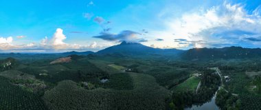 Panorama 'nın hava görüntüsü bol yağmur ormanları doğa dağları manzarası