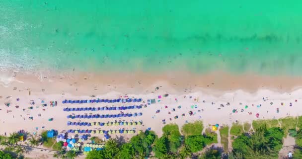 空中の景色高波 ビーチでの旅行者のリラックスした素晴らしいビーチ プーケット島での夏の季節の美しい海タイ タイムラプスの人々 多くの休憩者と夏の間のビーチ — ストック動画