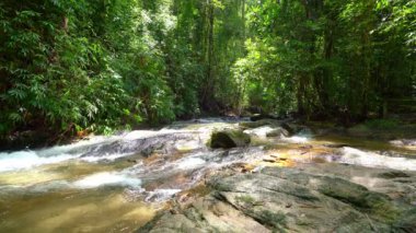 Waterfall in Abundant Clear Stream in the forest,Slow motion waterfall river with crystal clear water morning light nature background