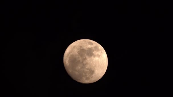Πανσέληνος Στον Ουρανό Νύχτα Καταπληκτικό Φεγγάρι Ένα Βίντεο Tele Φακό — Αρχείο Βίντεο