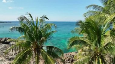 Aerial view of Amazing sea ocean, Beautiful sky over sea with small waves and coconut palm trees forest,Summer vacation and travel background