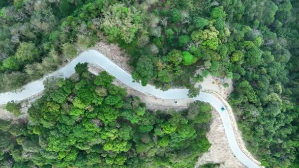 Aerial View Top Drone Shot Winding Mountain Road Trees Rainforest — 图库视频影像