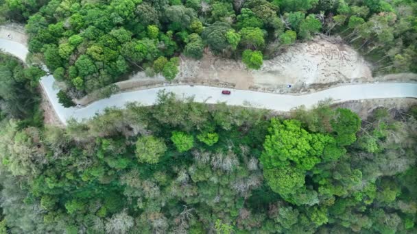 Aerial View Top Drone Shot Winding Mountain Road Trees Rainforest — Stockvideo