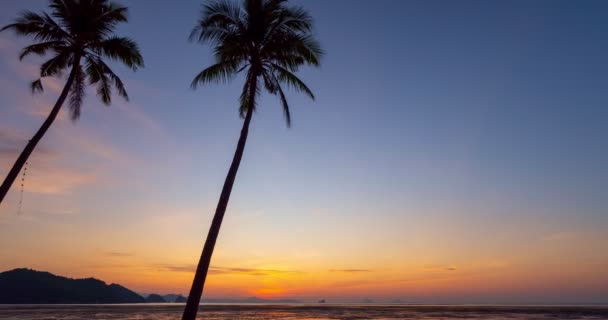 日の出の空のビーチにヤシの木と美しい空の雲素晴らしい光夏の風景の背景 — ストック動画