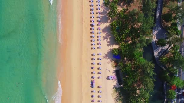 Uitzicht Vanuit Lucht Amazing Patong Strand Met Reismensen Ontspanning Het — Stockvideo