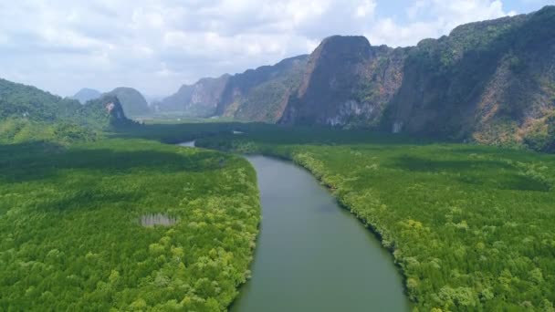 Úžasný Bohatý Mangrovový Les Letecký Pohled Lesní Stromy Hory Deštných — Stock video
