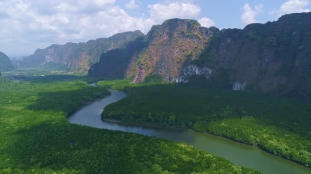 Úžasný Bohatý Mangrovový Les Letecký Pohled Lesní Stromy Hory Deštných — Stock video