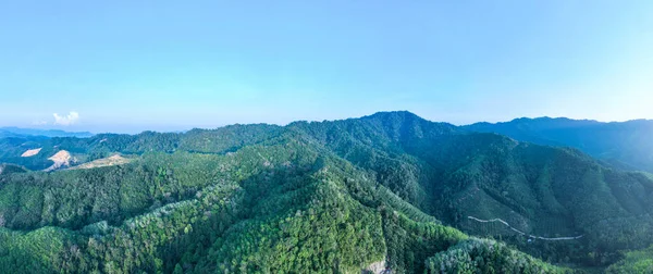 パノラマ豊富な熱帯雨林の風景の空中ビュードローンショット自然山の景色 — ストック写真