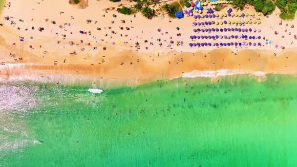 Aerial View Nai Harn Plajı Nda Seyahat Eden Insanlar Plajda — Stok video