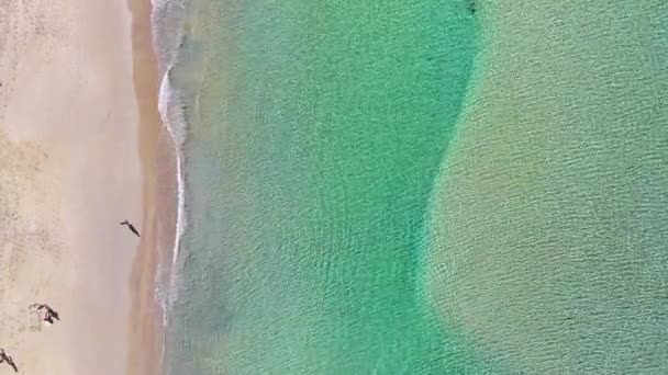 Bello Mare Nella Stagione Estiva Incredibile Sfondo Marino Oceano Spiaggia — Video Stock