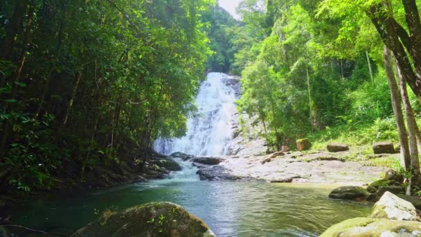 Piękny Wodospad Natury Lesie Deszczowym Niesamowite Obfite Drzewa Leśne — Wideo stockowe