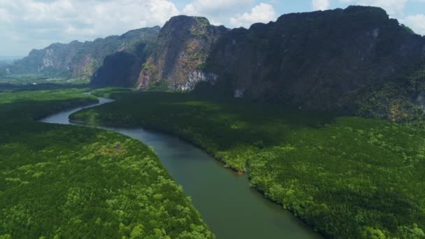 Erstaunlich Reichlich Mangrovenwald Fluss Luftbild Der Waldbäume Regenwald Ökosystem Und — Stockvideo