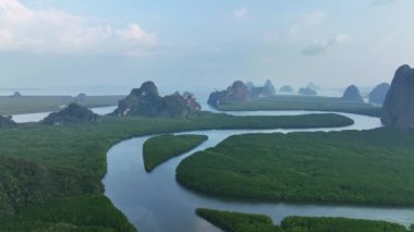 İnanılmaz bereketli mangrov orman nehri, orman ağaçlarının havadan görünüşü yağmur ormanları ekosistemi ve sağlıklı çevre arka planı, yeşil ağaçların dokusu yukarıdan aşağıya doğru yüksek açı manzarası.