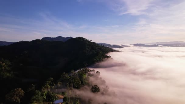 高角度的无人机拍摄的雾在夏季的高山上空 美丽的日出天空云彩创造了大自然的视频场景 4K高质量镜头 — 图库视频影像