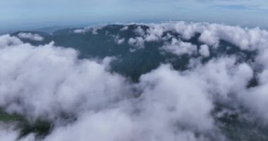 Tayland 'daki dağların üzerinde güzel bir sis, inanılmaz bir sisli deniz manzarası, sabahları sisli bulutlu dağ zirvesi manzarası.