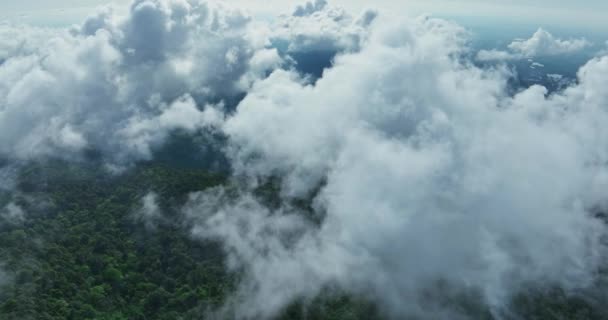 Туман Над Горами Таиланде Удивительный Вид Горную Вершину Высоты Птичьего — стоковое видео