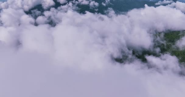 タイの山の上の美しい霧 素晴らしい霧の海 午前中に霧の雲と山のピークの空中ビューの風景 — ストック動画