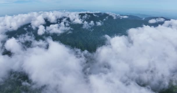 美丽的雾笼罩着泰国的高山 迷人的雾笼罩着大海 空中鸟瞰着晨雾密布的山顶 — 图库视频影像