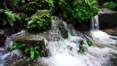 Waterfall in Abundant Clear Stream in the forest Small waterfall river with crystal clear water morning light nature background