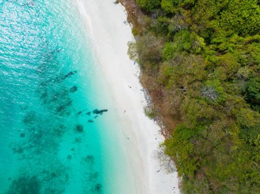 Renkli sahil dalgaları deniz yüzeyi dalgaları kumlu sahile vuran inanılmaz dalgalar güzel kumsal sahili doğa ve seyahat arka planı.