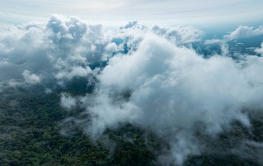 Tropikal yağmur ormanlarında akan sis dalgalarının hava manzarası, bulutların üzerindeki kuş bakışı görüntü Tayland 'da bulutların ve dağların zirvelerinin olduğu doğa manzarası