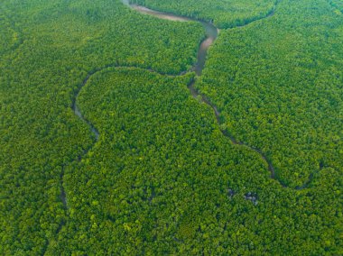 Mangrove Ormanı manzarasının hava görüntüsü Phang-nga Tayland 'da, güzel gün doğumu ya da gün batımı deniz üzerinde, inanılmaz manzara manzarası