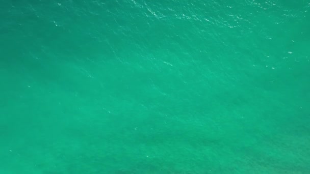 Increíble Playa Mar Con Espuma Olas Oceánicas Hermosa Naturaleza Marina — Vídeos de Stock
