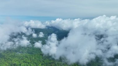Tayland 'daki dağları aşan harika bir sis, dağları aşan inanılmaz bulutlar. Sabahları sisli bulutlu dağ zirvesi manzarası. Görüntüler b rulosu 4k. İnsansız hava aracı tabiatının arka planı.