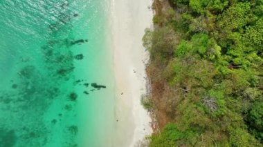 Okyanus dalgası köpükleriyle inanılmaz bir sahil. Deniz yüzeyinin güzel deniz manzarası. Yaz tatili için seyahat yeri kavramı