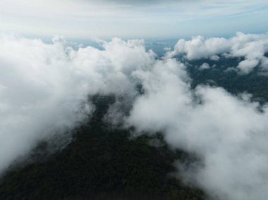 Tropikal yağmur ormanlarında akan sis dalgalarının hava görüntüsü bulutların üzerindeki kuş bakışı görüntü Tayland 'da bulutlar ve dağ zirveleriyle dolu arka plan.