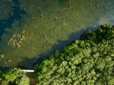 Bataklık ya da göl üzerinden bataklık ya da gün doğumu ya da gün batımı üzerinden İHA görüntüsü Klong kök gölü Krabi Tayland 'da sabah inanılmaz doğa manzarası