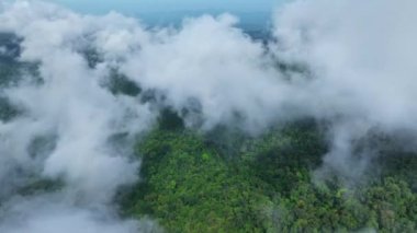Tayland 'daki dağları aşan harika bir sis, dağları aşan inanılmaz bulutlar. Sabahları sisli bulutlu dağ zirvesi manzarası. Görüntüler b rulosu 4k. İnsansız hava aracı tabiatının arka planı.