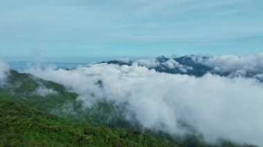 Tayland 'daki dağları aşan harika bir sis, dağları aşan inanılmaz bulutlar. Sabahları sisli bulutlu dağ zirvesi manzarası. Görüntüler b rulosu 4k. İnsansız hava aracı tabiatının arka planı.