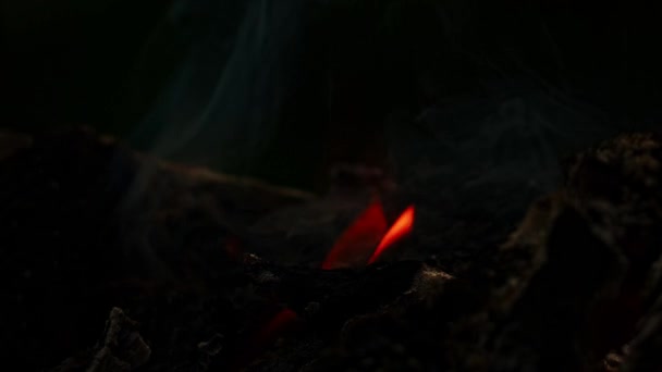 Fire Burning Slow Motion Shot Ogień Dym Czarnym Tle — Wideo stockowe