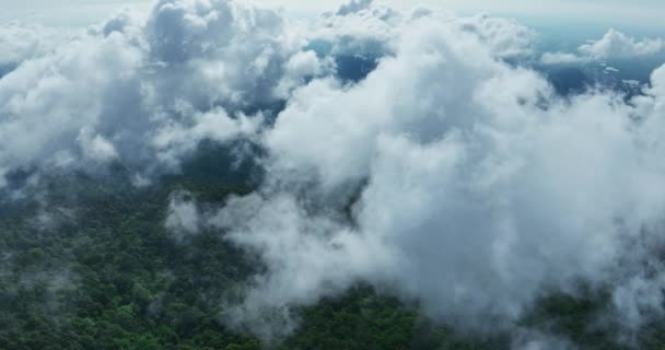 Прекрасний Дивовижний Туман Над Горами Таїланді Дивовижні Хмари Над Горами — стокове відео