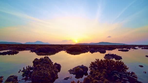 Beautiful Sunset Sunrise Light Sea Reflection Sun Clouds Water Surface — Stock Video