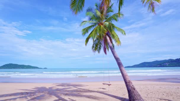 美丽的椰子树在海滩上泰国普吉岛 帕东岛棕榈树在海滩上 椰子树在海滨上 阳光明媚的天空 夏日的背景 — 图库视频影像
