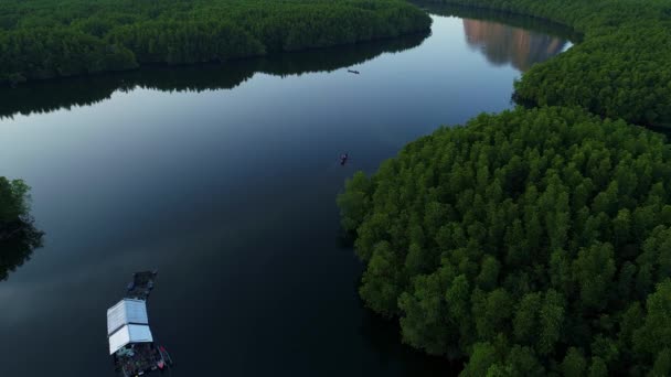 Úžasné Množství Mangrovníkového Lesa Letecký Pohled Lesní Porosty Deštných Pralesů — Stock video