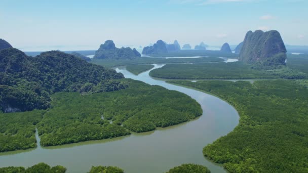 Hutan Mangrove Sungai Yang Melimpah Pemandangan Udara Dari Ekosistem Hutan — Stok Video