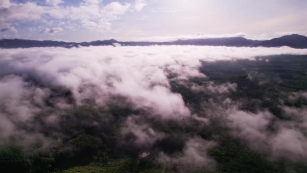 空中ビュー日の出の空に霧の上を飛んで 日の出に雲のカラフルな空の美しい海 太陽が地平線まで雲の無限の海の上に上昇している — ストック動画