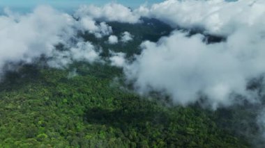 Güneşin doğuşunda sislerin üzerinde uçan hava manzarası, gün doğumunda bulutların güzel okyanusları.
