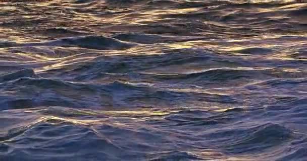 ゆっくりとした動きで素晴らしい波の海の表面 水面に素晴らしい海の美しい太陽の光 自然景観の背景 — ストック動画