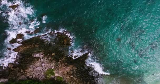 Hava Görüntüsü Palmiye Ağaçlı Deniz Kıyısı Kayaları Güzel Deniz Yüzeyi — Stok video