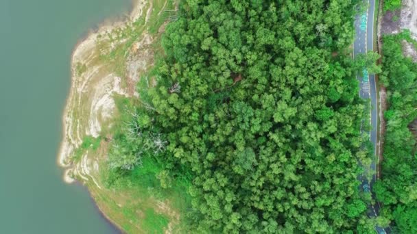 Letecký Pohled Hojnost Stromů Les Hory Amazing Příroda Krajina Vysoký — Stock video