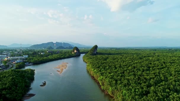 Niesamowite Obfite Lasu Namorzynowego Rzeki Widok Powietrza Drzew Leśnych Ekosystem — Wideo stockowe