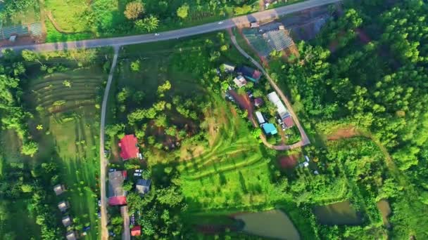 Luchtfoto Van Verbazingwekkende Regenwoudbomen Bergen Drone Vlucht Jungle Luchtfoto Uitzicht — Stockvideo