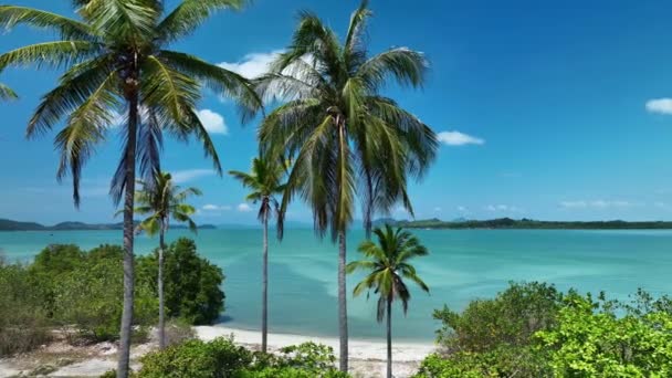 Кокосовые Пальмы Пляже Красивый Солнечный День Хорошая Погода День Летнего — стоковое видео